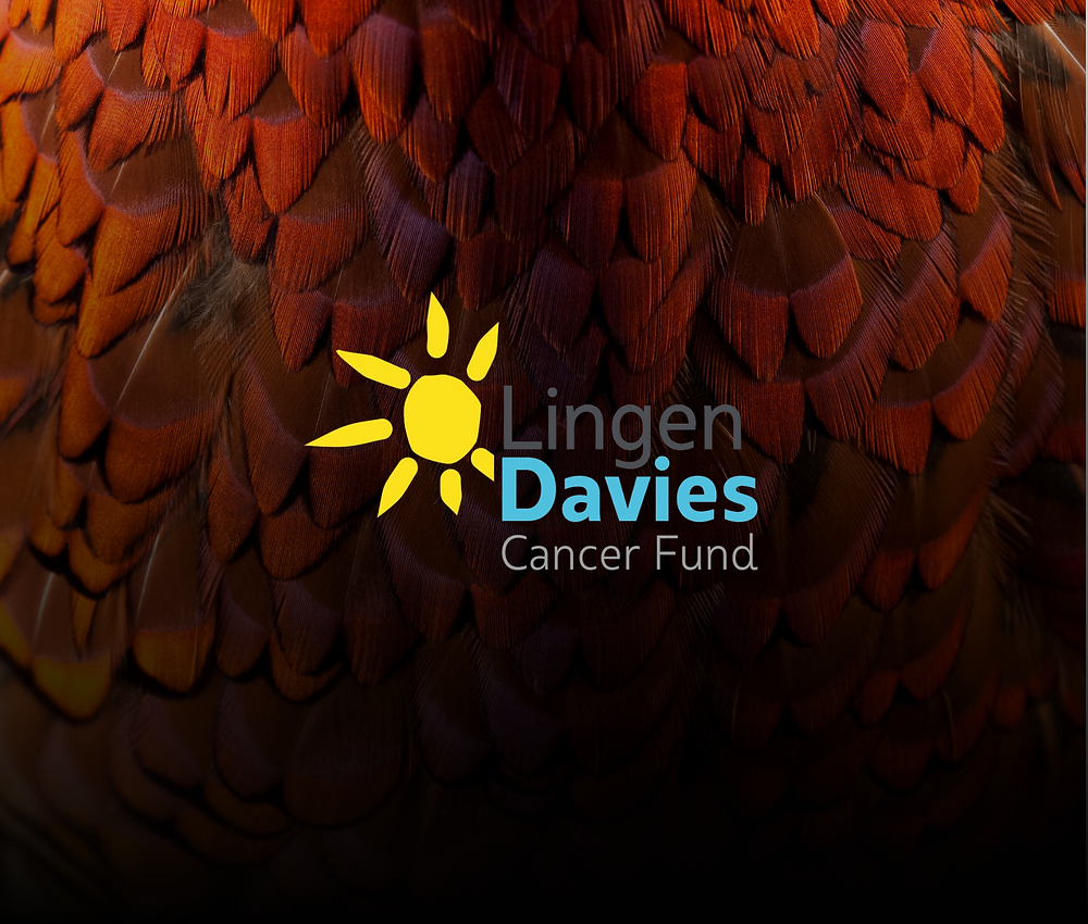 An incredible year an incredible charity
