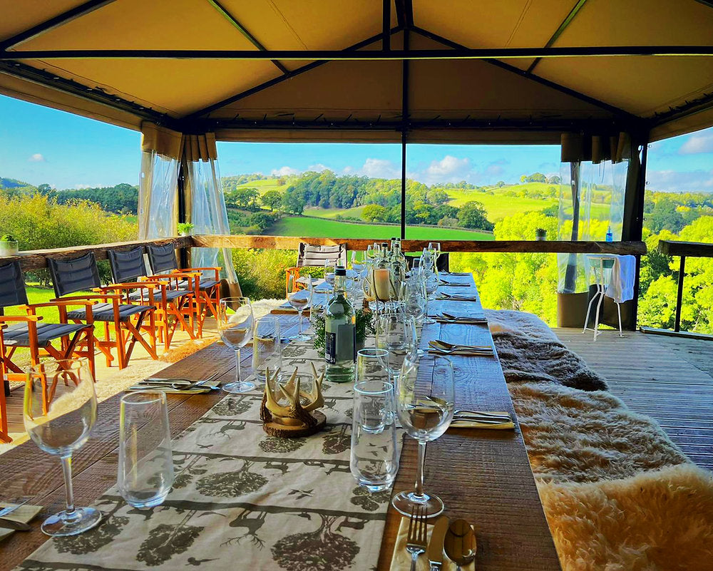Lunch with a view