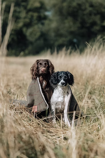 Finn Harrington Luxury Dog Blankets